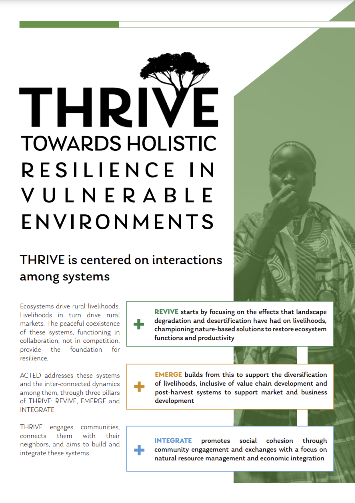 Towards Holistic Resilience in Vulnerable Environments